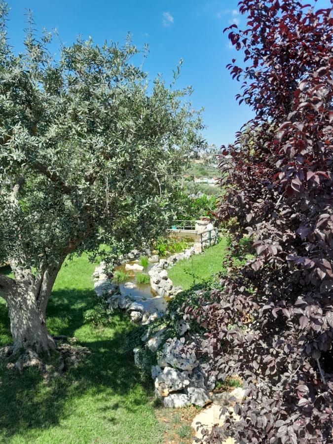 La Rosa Dei Trulli B&B Alberobello Exterior photo
