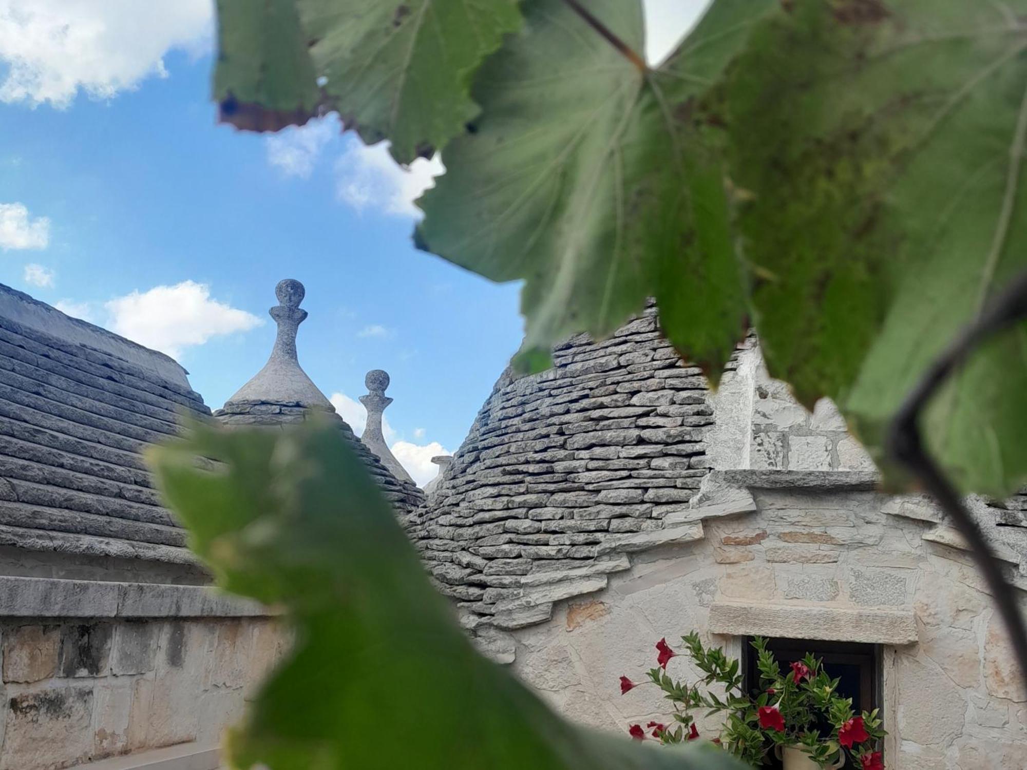 La Rosa Dei Trulli B&B Alberobello Exterior photo