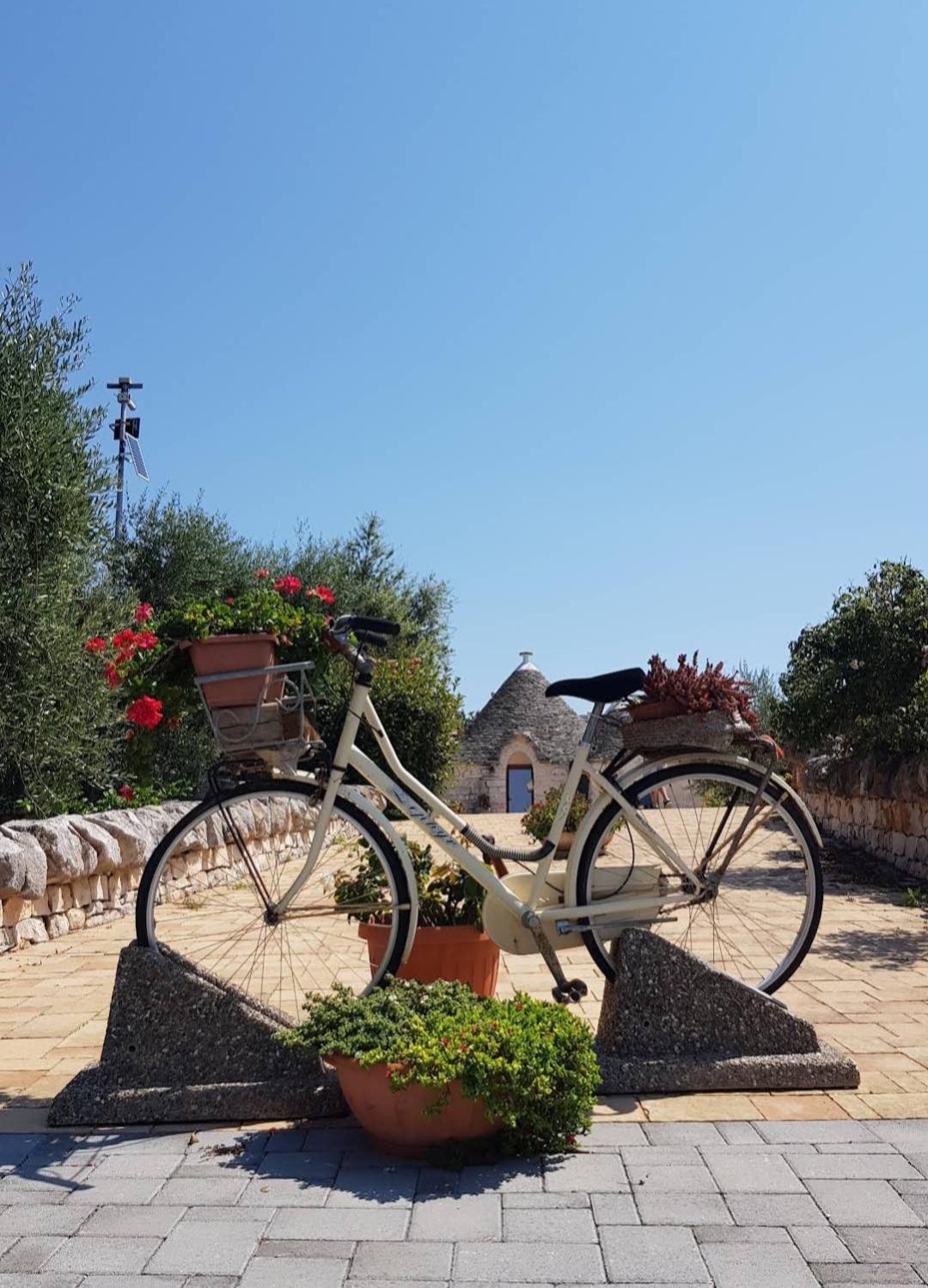 La Rosa Dei Trulli B&B Alberobello Exterior photo