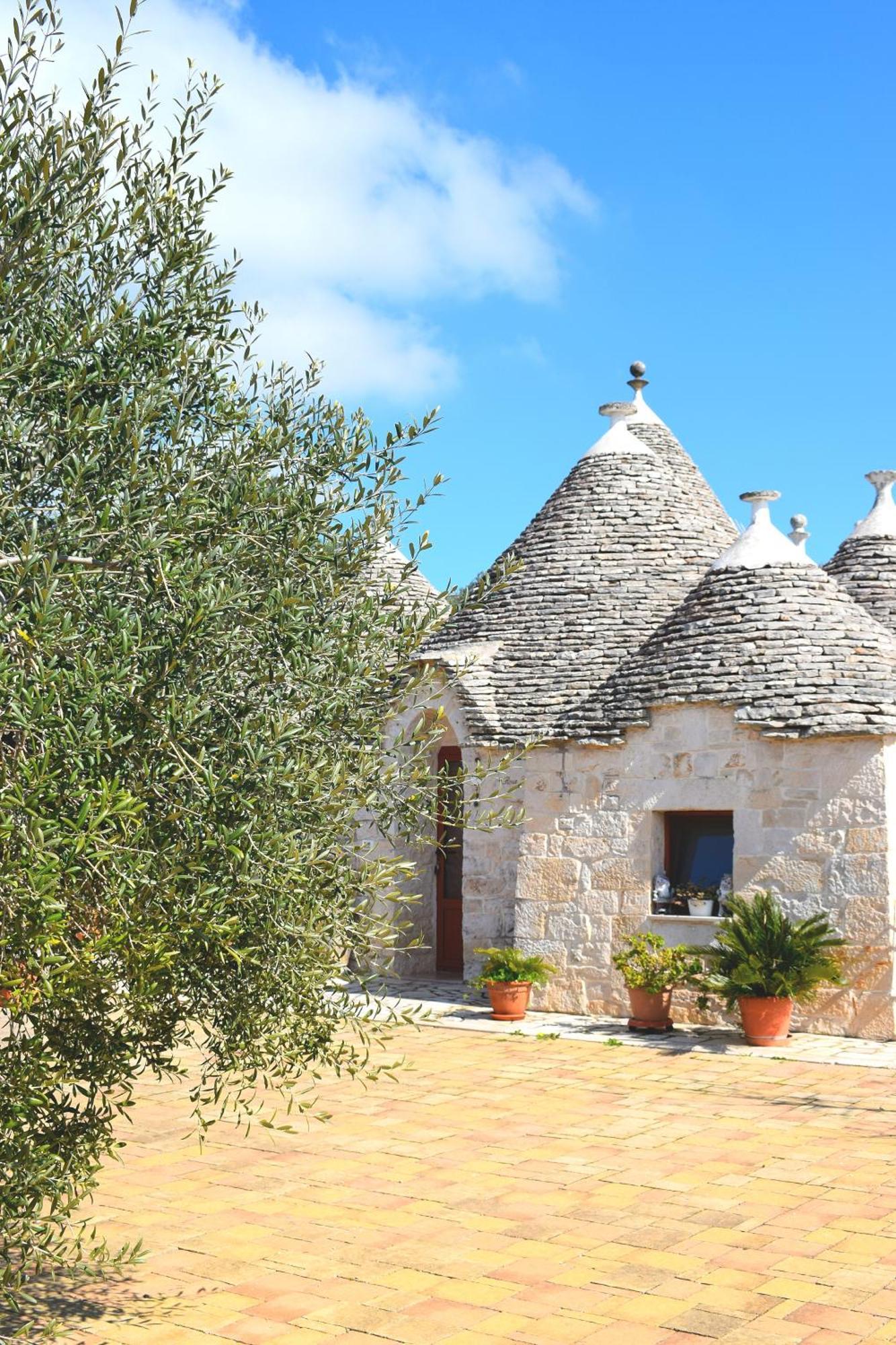 La Rosa Dei Trulli B&B Alberobello Exterior photo
